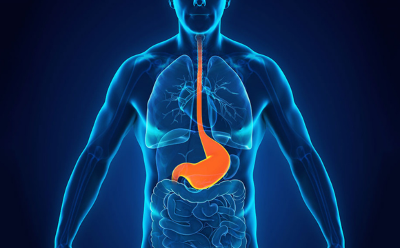 Heartburn & Acid Reflux (GERD)